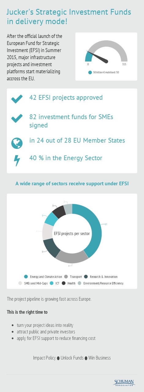 EFSI infograph