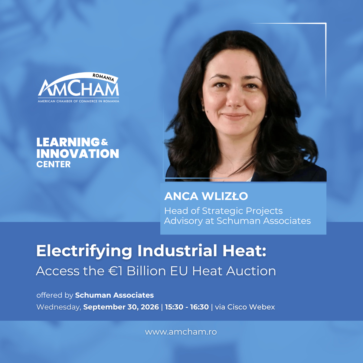 Schuman-Associates_American-Chamber-of-Commerce-Romania_Workshop_Electrifying-Industrial-Heat_Access-1-billion-euro-EU-heat-auction_Anca-Wlizło